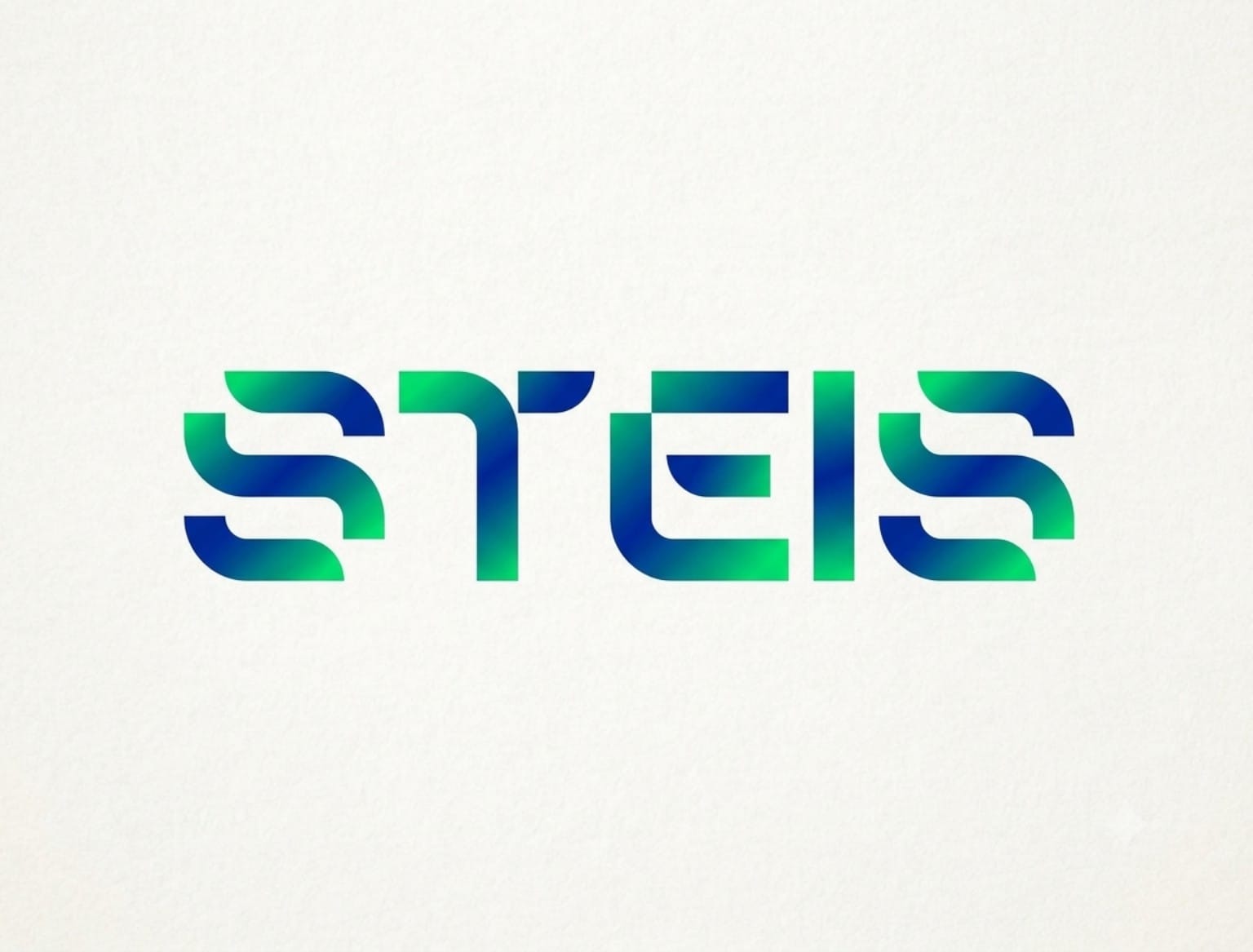 SAFE TECH STEIS logo